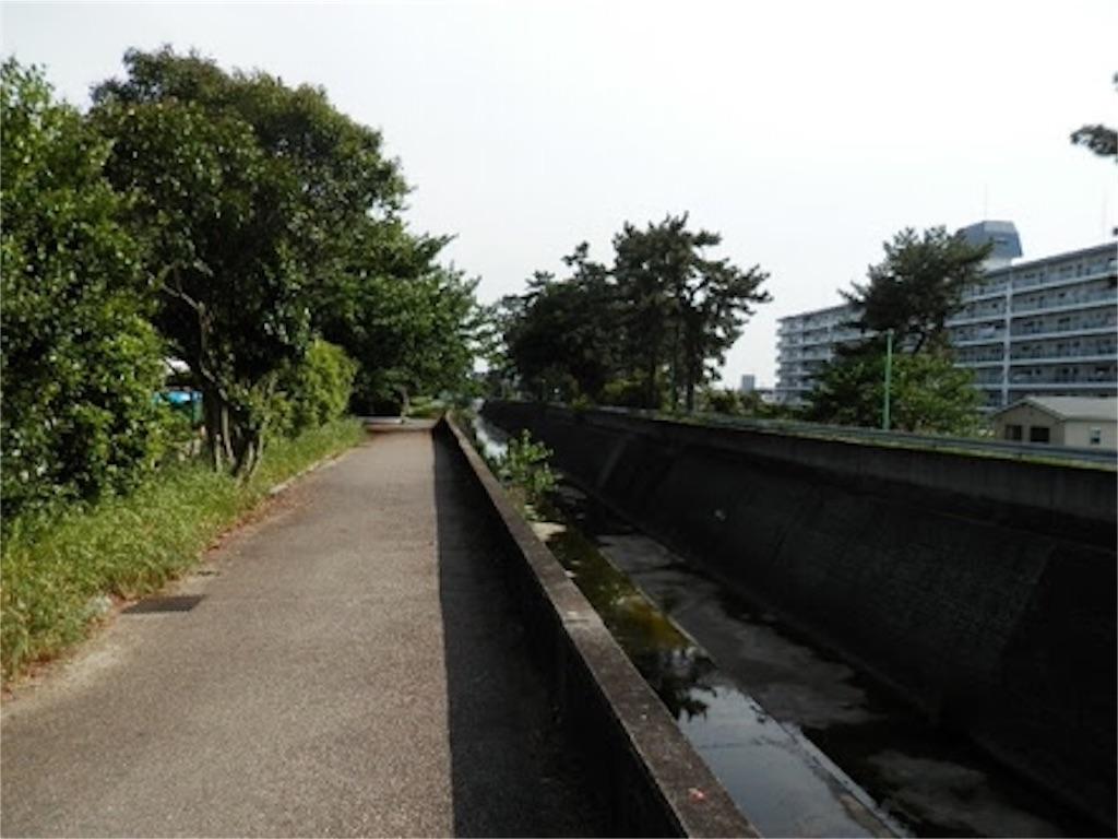 f:id:suzuki-goose350:20151108234127j:image f:id:suzuki-goose350:20151108234127j:image