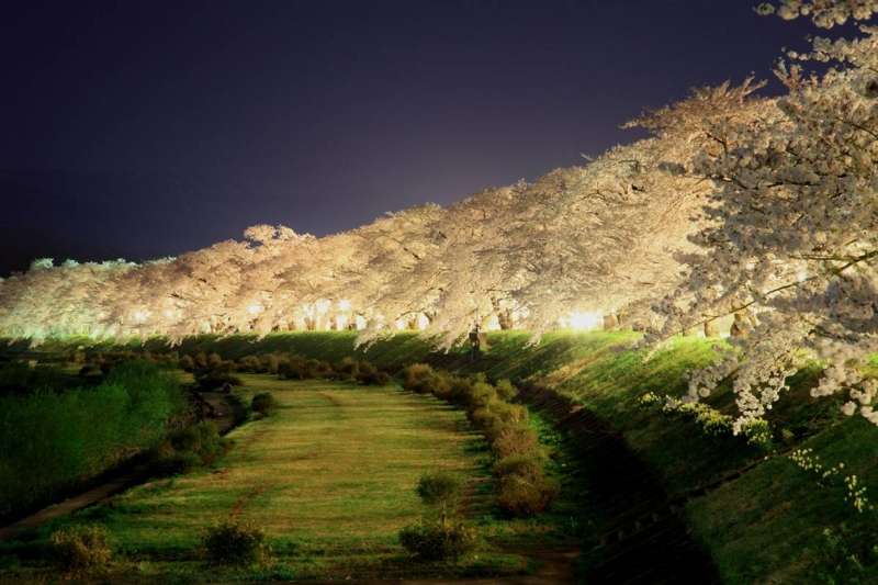 f:id:suzukidesu23:20120430201556j:plain