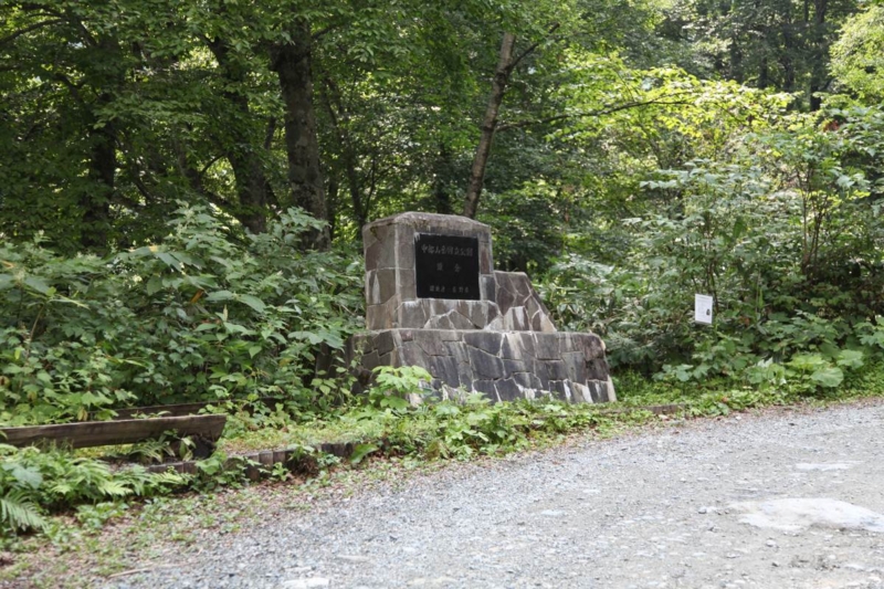 f:id:suzukidesu23:20140719082859j:plain f:id:suzukidesu23:20140719082859j:plain