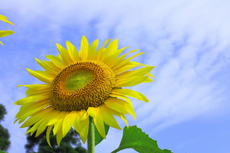 f:id:suzukidesu23:20140724010049j:plain f:id:suzukidesu23:20140724010049j:plain