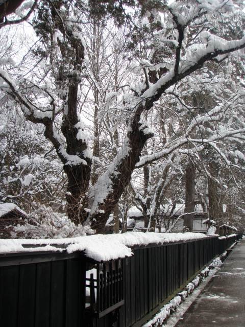 f:id:suzukidesu23:20140817122608j:plain