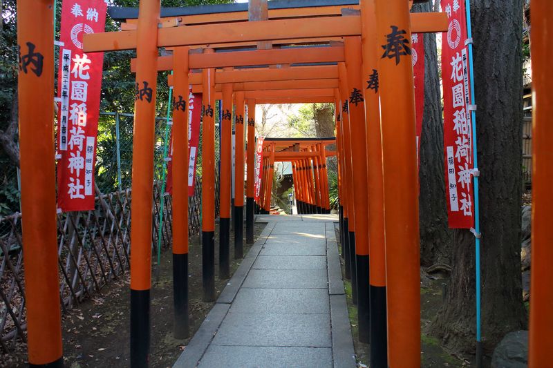 f:id:suzukidesu23:20150203231338j:plain