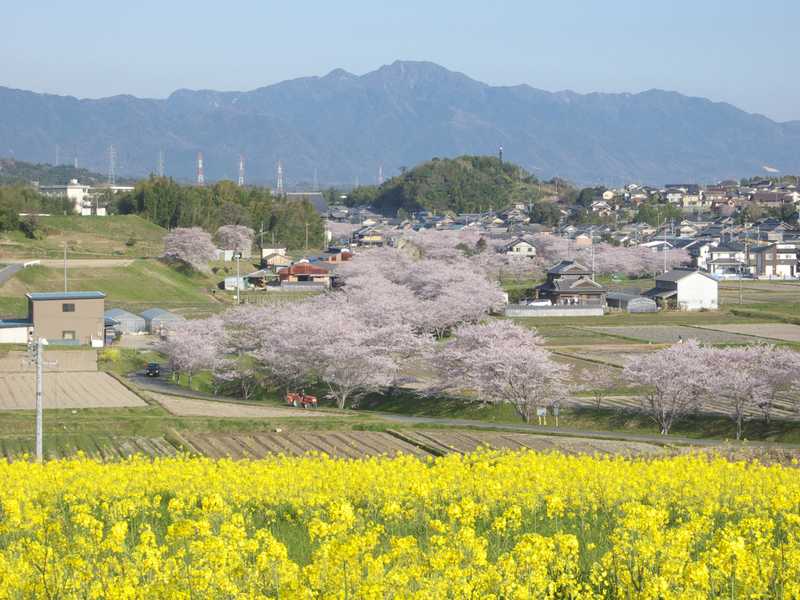 f:id:suzukidesu23:20160327222419j:plain