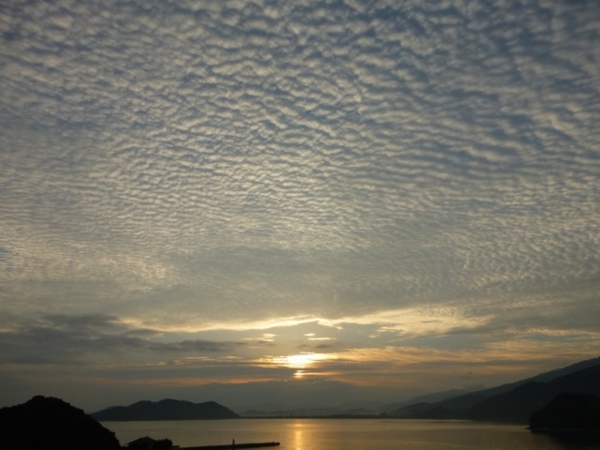f:id:suzukokage:20140823061422j:plain f:id:suzukokage:20140823061422j:plain