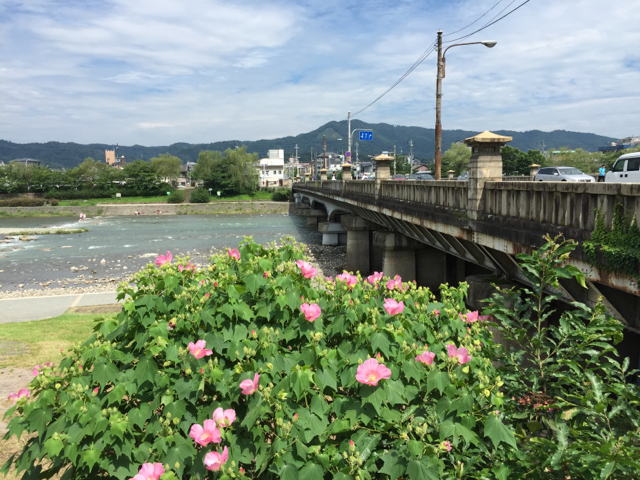 f:id:suzukokage:20150724141804j:plain f:id:suzukokage:20150724141804j:plain
