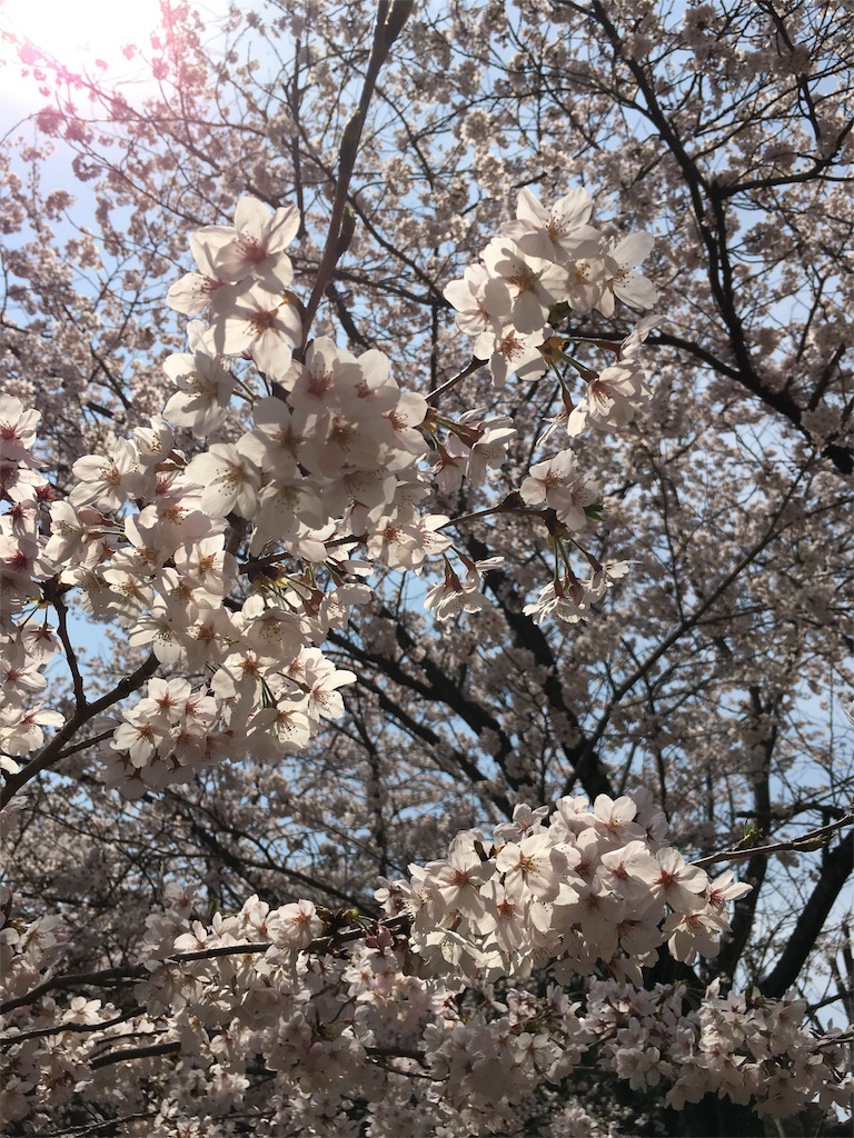 f:id:suzumushi23:20160407121043j:image f:id:suzumushi23:20160407121043j:image
