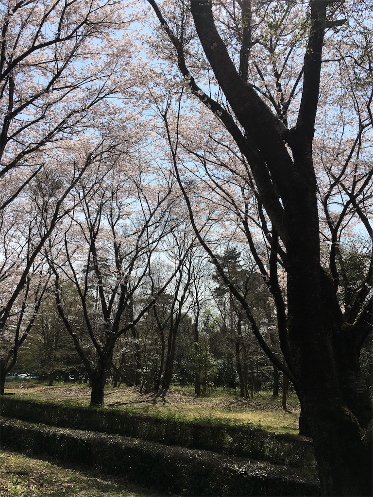f:id:suzumushi23:20160407121136j:image f:id:suzumushi23:20160407121136j:image