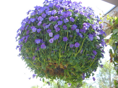 f:id:suzunomiya:20130515002230j:image f:id:suzunomiya:20130515002230j:image