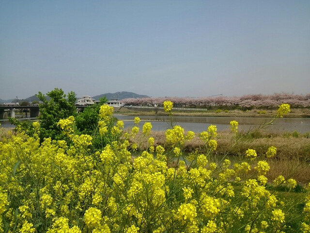 f:id:suzutakahiro1122:20160409180723j:image f:id:suzutakahiro1122:20160409180723j:image