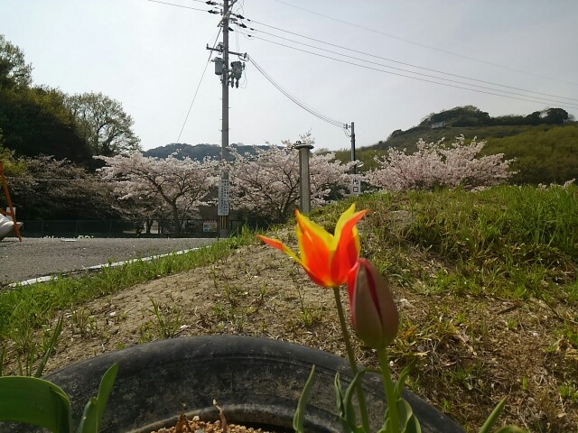 f:id:suzutakahiro1122:20160409181317j:image f:id:suzutakahiro1122:20160409181317j:image