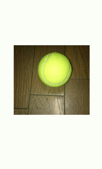 f:id:suzuyuta0422:20150704205645j:image f:id:suzuyuta0422:20150704205645j:image