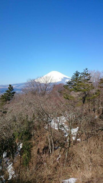 f:id:suzuyuta0422:20150813102212j:image f:id:suzuyuta0422:20150813102212j:image