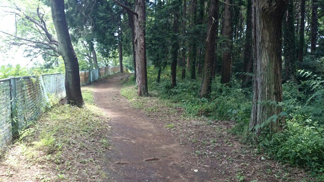 f:id:suzuyuta0422:20160704231234j:image f:id:suzuyuta0422:20160704231234j:image