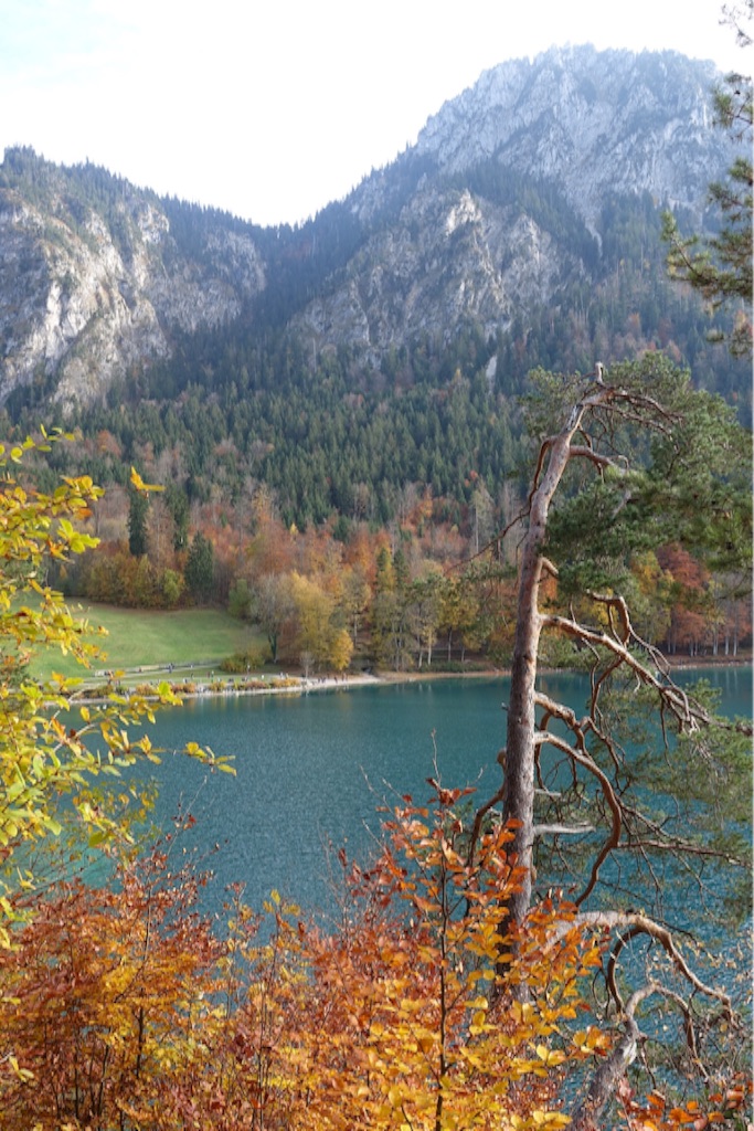 f:id:swbit:20151224091216j:image f:id:swbit:20151224091216j:image