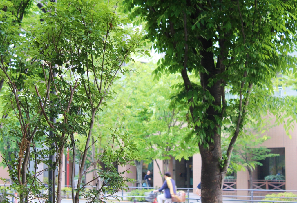 f:id:sweeteatime:20160516200804j:plain f:id:sweeteatime:20160516200804j:plain