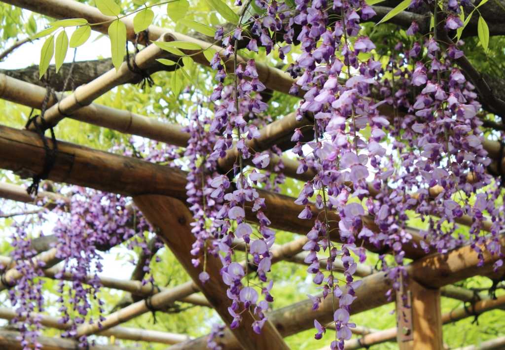 f:id:sweeteatime:20160529013746j:plain f:id:sweeteatime:20160529013746j:plain