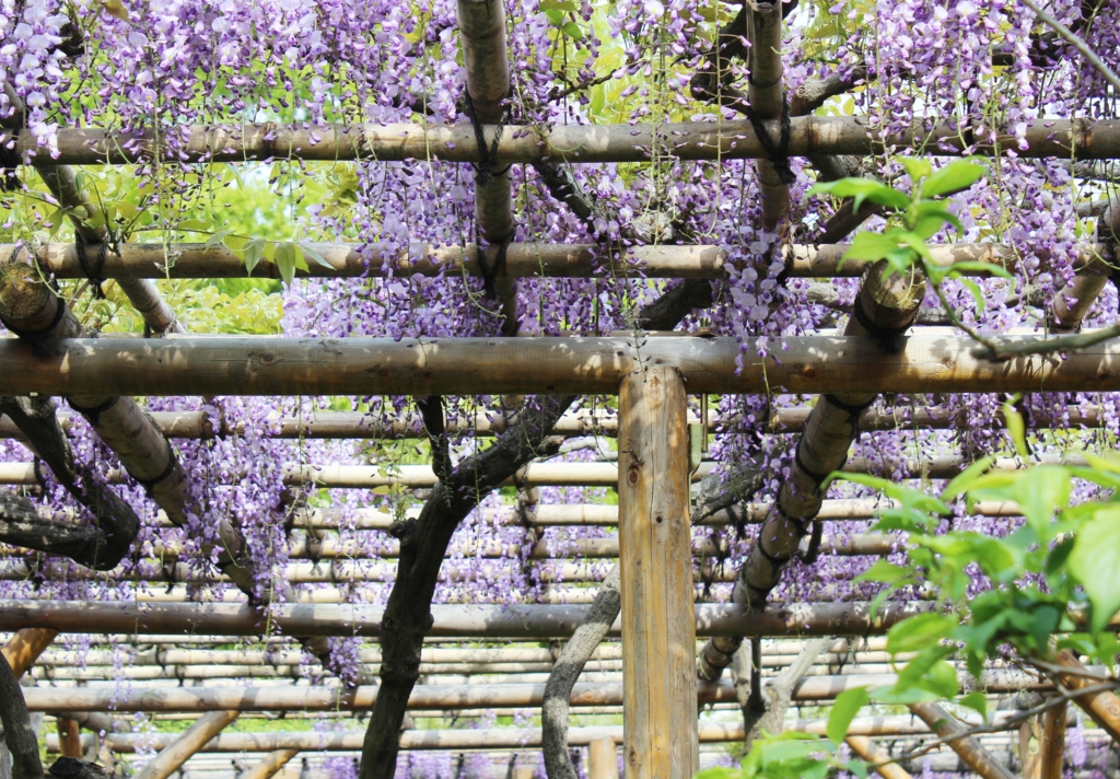 f:id:sweeteatime:20160529020405j:plain f:id:sweeteatime:20160529020405j:plain