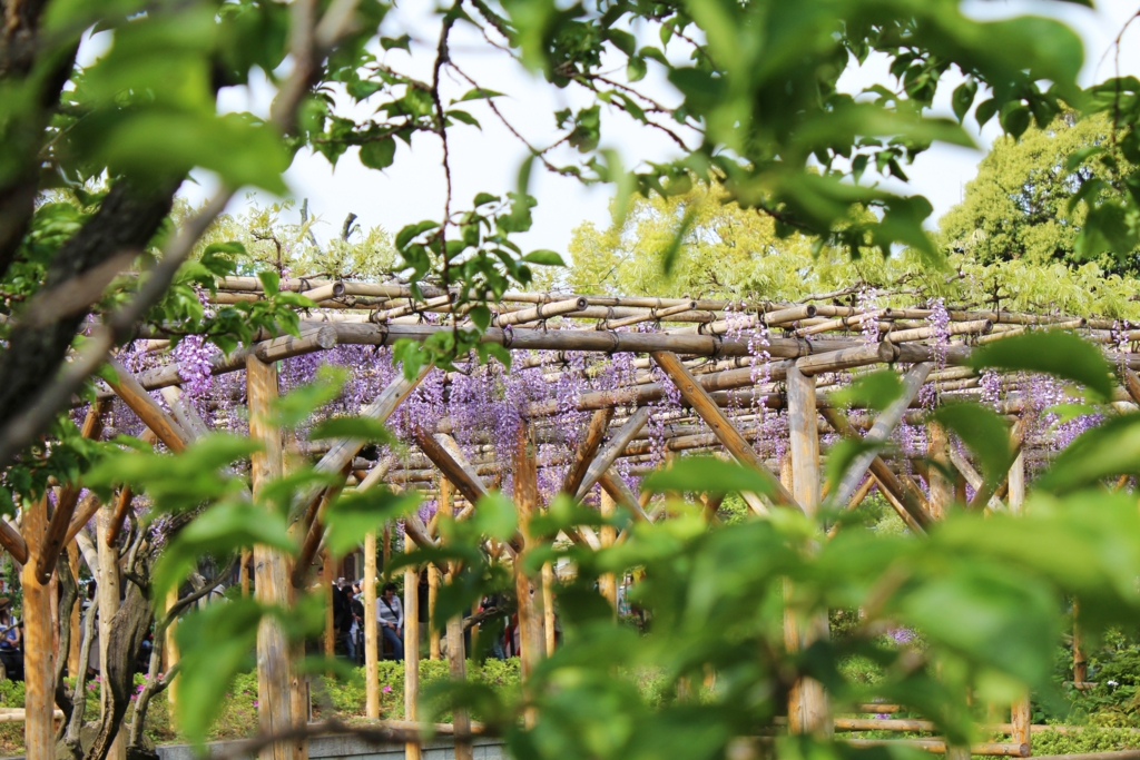 f:id:sweeteatime:20160529020422j:plain f:id:sweeteatime:20160529020422j:plain