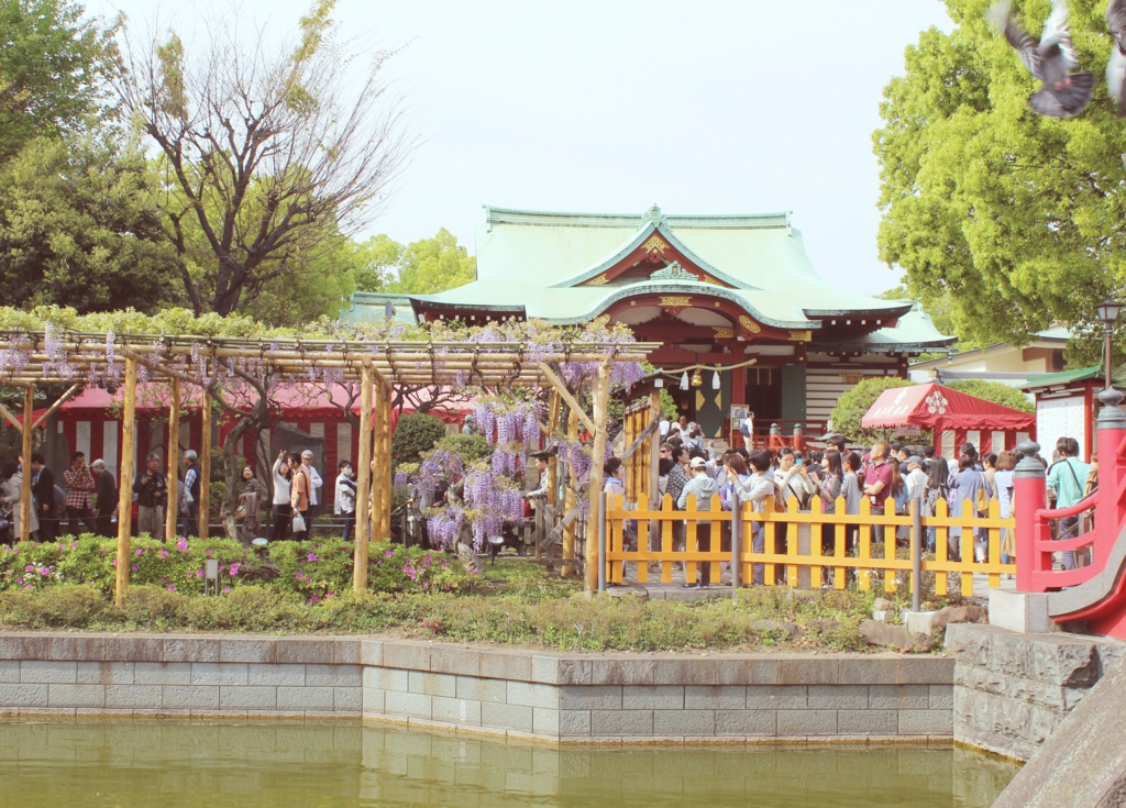 f:id:sweeteatime:20160529023449j:plain f:id:sweeteatime:20160529023449j:plain