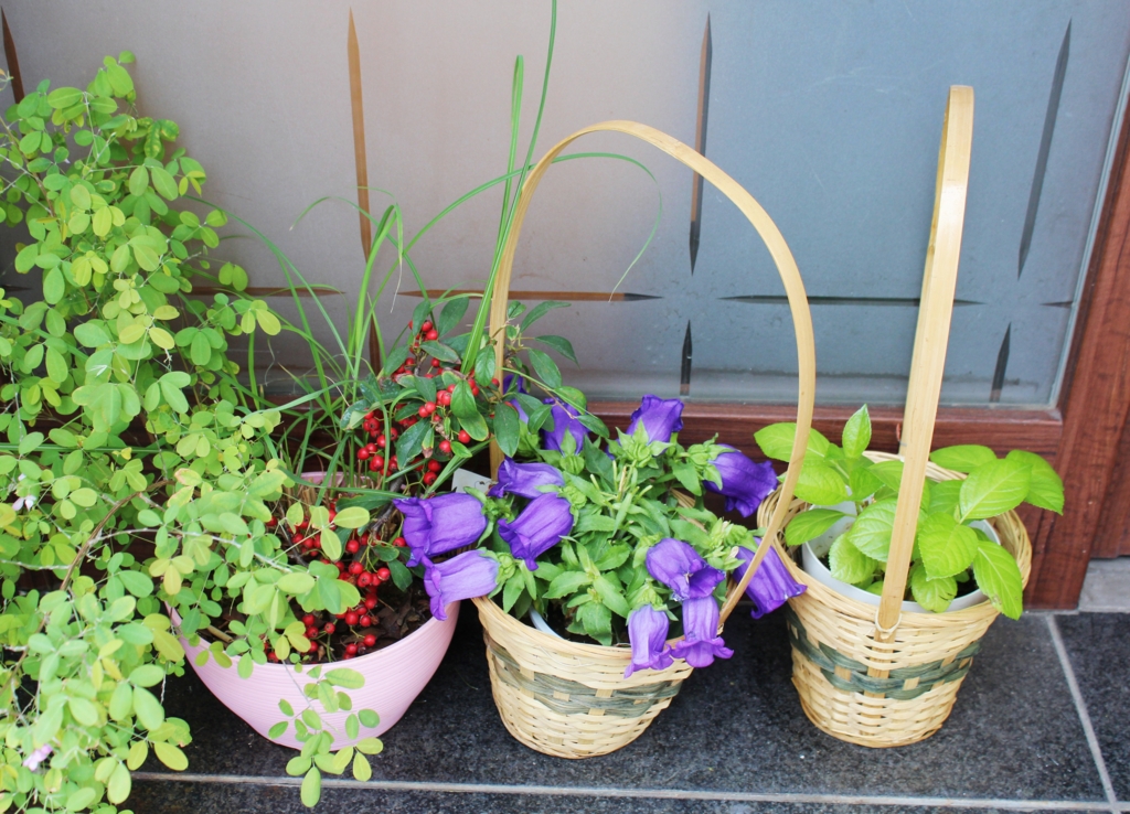 f:id:sweeteatime:20160530023443j:plain f:id:sweeteatime:20160530023443j:plain