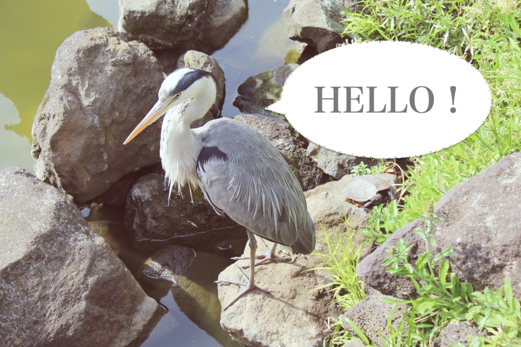 f:id:sweeteatime:20160530024603j:plain f:id:sweeteatime:20160530024603j:plain