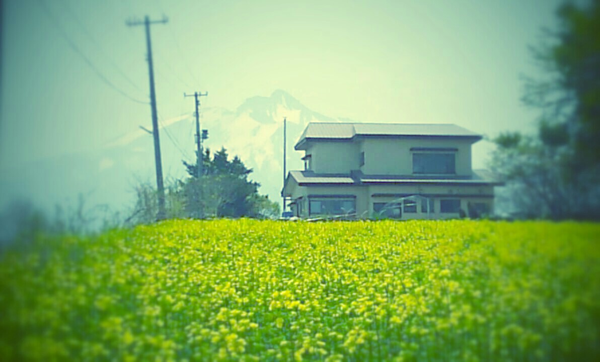 f:id:sweetflowers44:20160430210556j:image f:id:sweetflowers44:20160430210556j:image