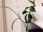 f:id:sweets78:20140521222039j:image