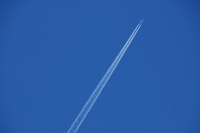 f:id:swordfish-002:20100410113300j:image f:id:swordfish-002:20100410113300j:image