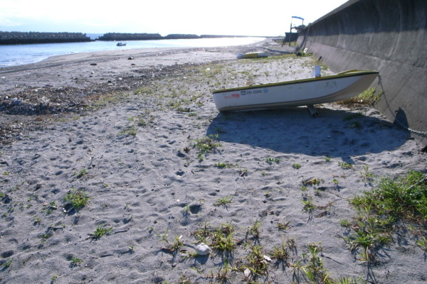 f:id:swordfish-002:20100817210006j:image f:id:swordfish-002:20100817210006j:image