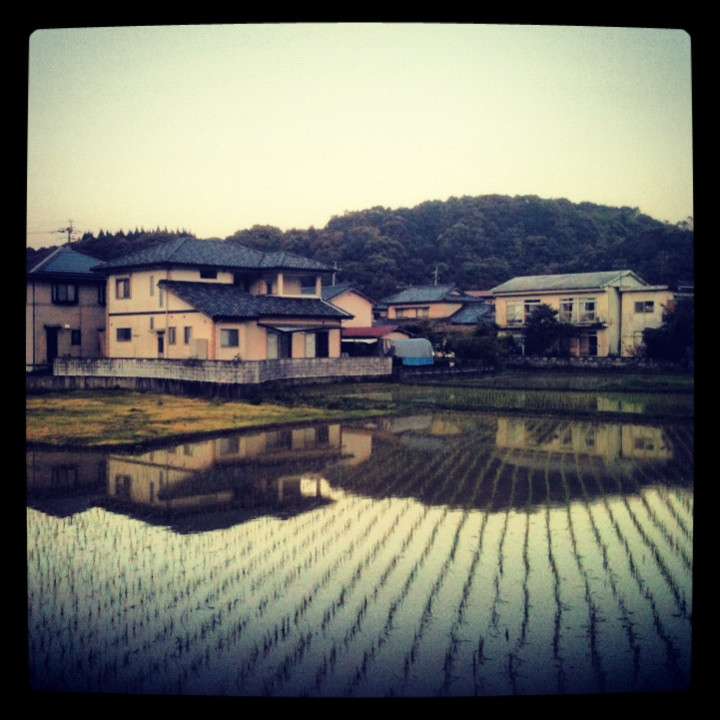 f:id:swordfish-002:20120417225959j:image