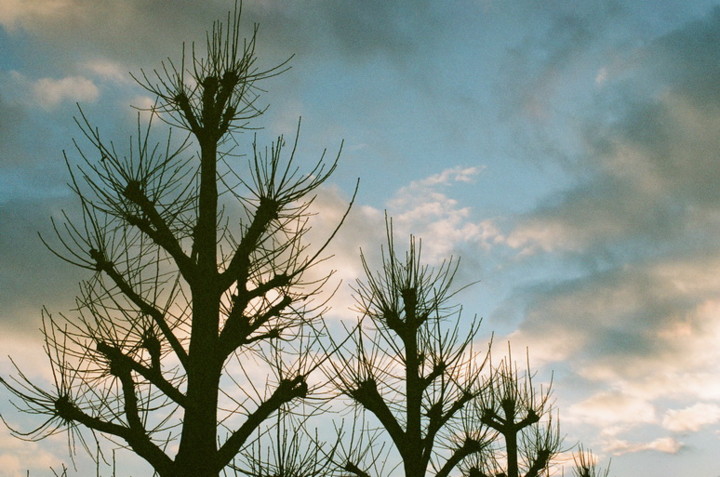 f:id:swordfish-002:20130109201704j:image