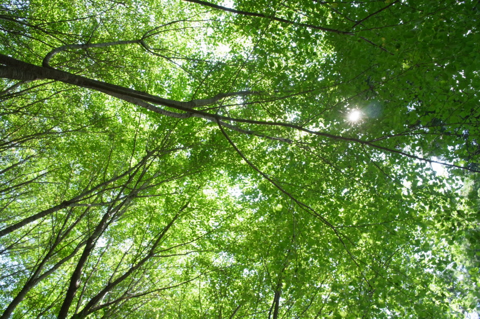 f:id:swordfish-002:20130812231129j:image