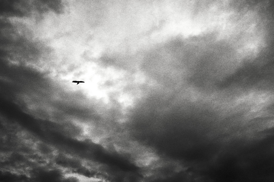 f:id:swordfish-002:20131006001004j:image