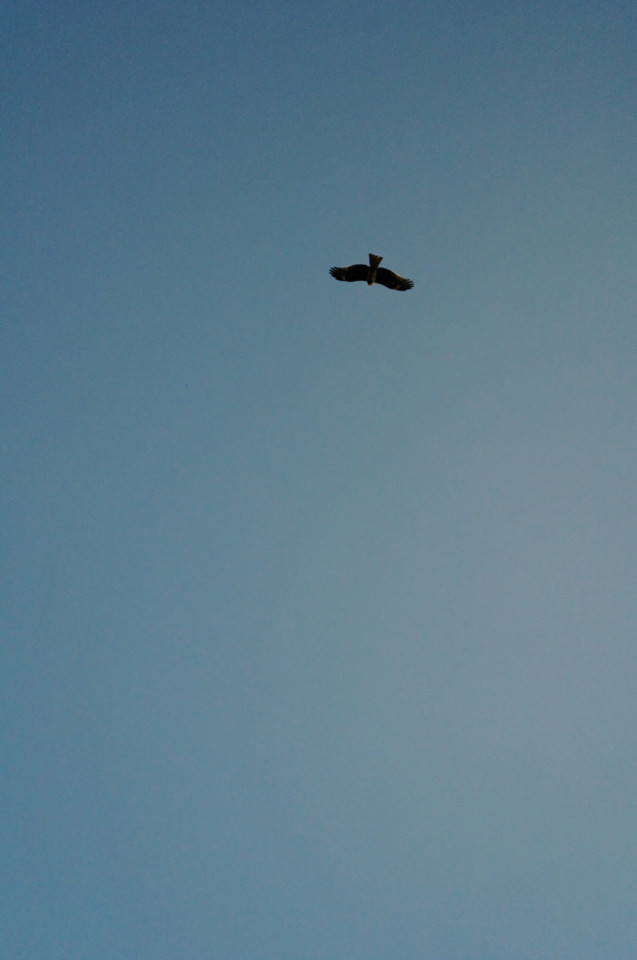 f:id:swordfish-002:20131207232753j:image