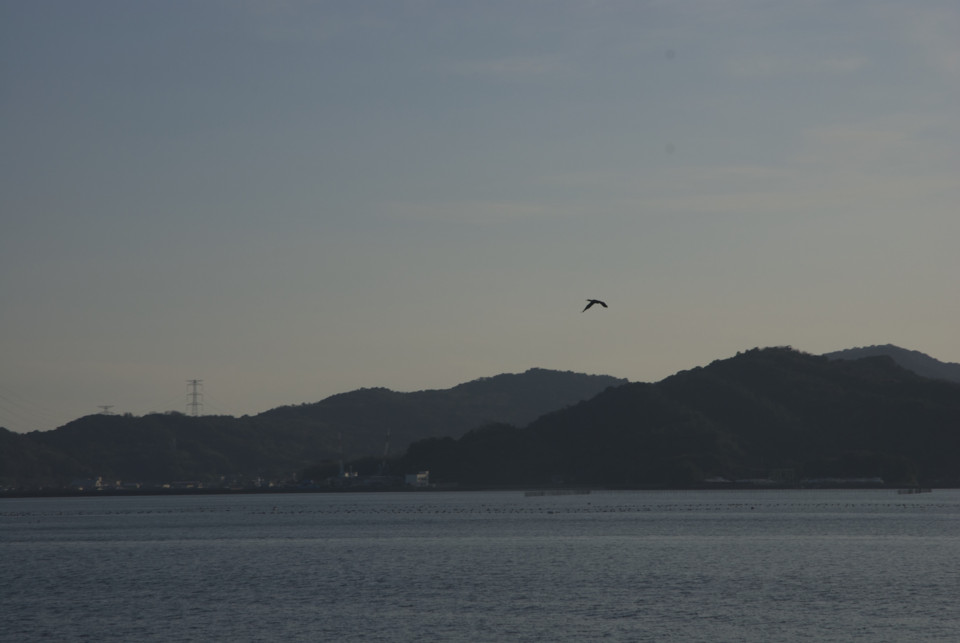 f:id:swordfish-002:20150105011502j:image