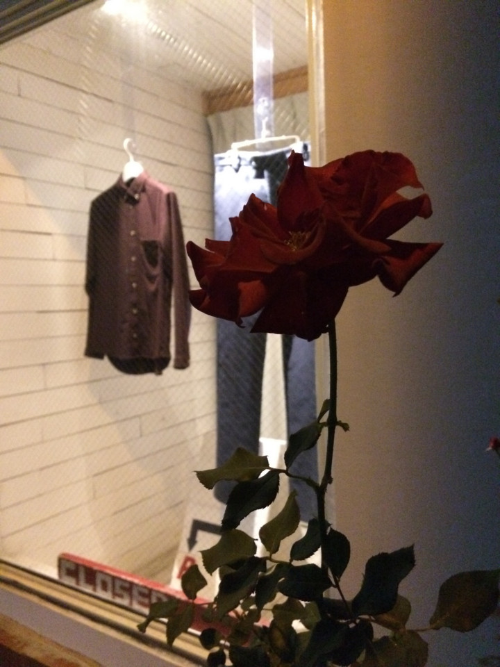 f:id:swordfish-002:20151106233616j:plain