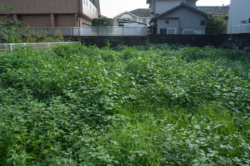 何時か見た空き地