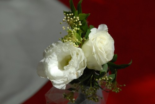 f:id:syun_yuki:20100417133503j:image f:id:syun_yuki:20100417133503j:image