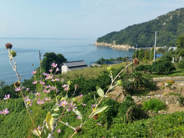 f:id:syunpalau:20151005140235j:image f:id:syunpalau:20151005140235j:image