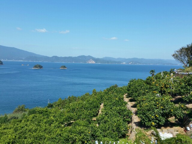 f:id:syunpalau:20151025181310j:image f:id:syunpalau:20151025181310j:image