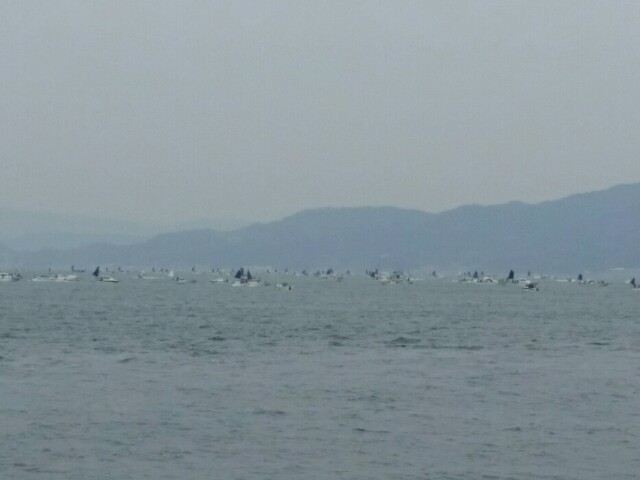 f:id:syunpalau:20160117172707j:image f:id:syunpalau:20160117172707j:image