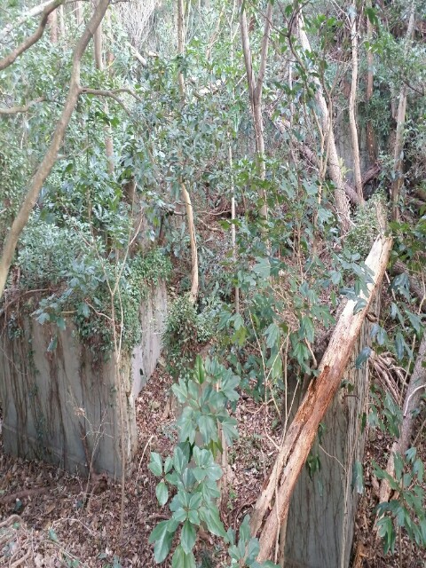 f:id:syunpalau:20160120225611j:image f:id:syunpalau:20160120225611j:image