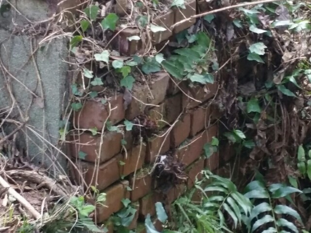 f:id:syunpalau:20160120225701j:image f:id:syunpalau:20160120225701j:image