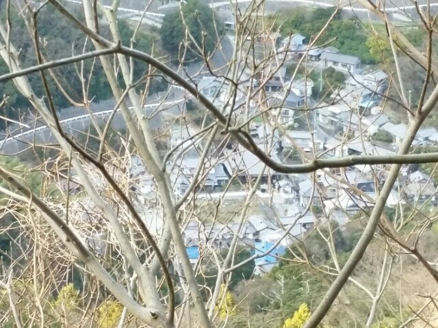 f:id:syunpalau:20160120230803j:image f:id:syunpalau:20160120230803j:image