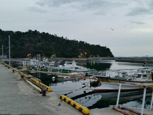 f:id:syunpalau:20160122213954j:image f:id:syunpalau:20160122213954j:image