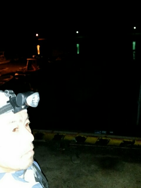 f:id:syunpalau:20160202202807j:image f:id:syunpalau:20160202202807j:image