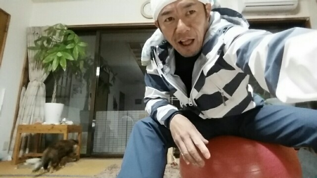 f:id:syunpalau:20160211214020j:image f:id:syunpalau:20160211214020j:image