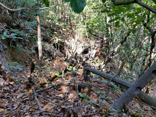 f:id:syunpalau:20160221162620j:image f:id:syunpalau:20160221162620j:image