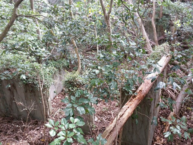 f:id:syunpalau:20160403165829j:image f:id:syunpalau:20160403165829j:image