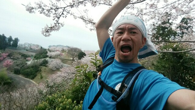 f:id:syunpalau:20160403170233j:image f:id:syunpalau:20160403170233j:image